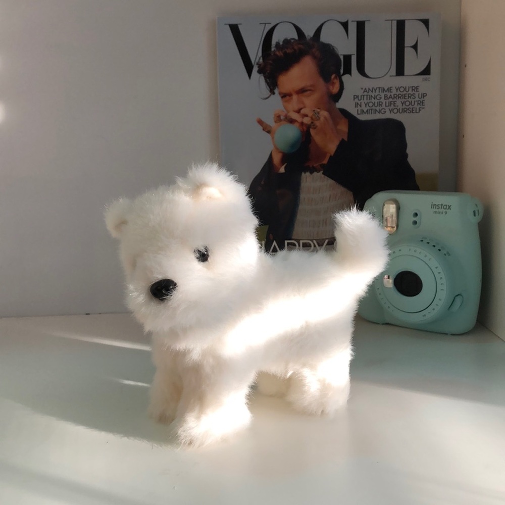 white American girl doll dog